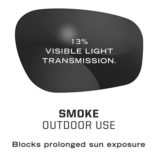 Mechanix Wear Vision Type-X F Glasögon - Smoke Lens svart ram